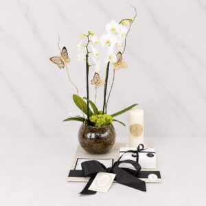 KIT ORQUÍDEA ZIBA CON CIRIO BASE ACRÍLICO Y CAJA CON DURAZNOS GOURMET