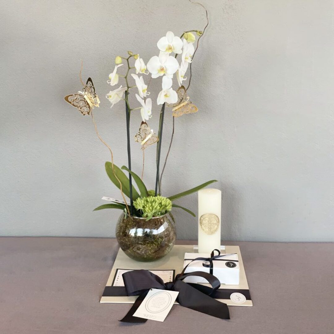 KIT ORQUIDEA ZIBA CON CIRIO EN BASE ACRILICO Y CAJA TORTUGONES