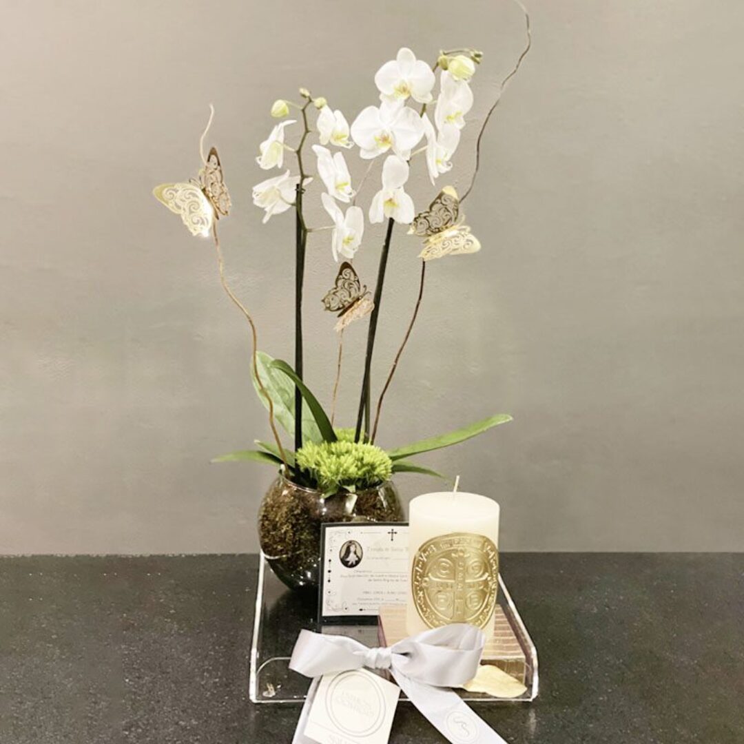 KIT ORQUIDEA ZIBA CON CIRIO MEDIANO DE SAN BENITO