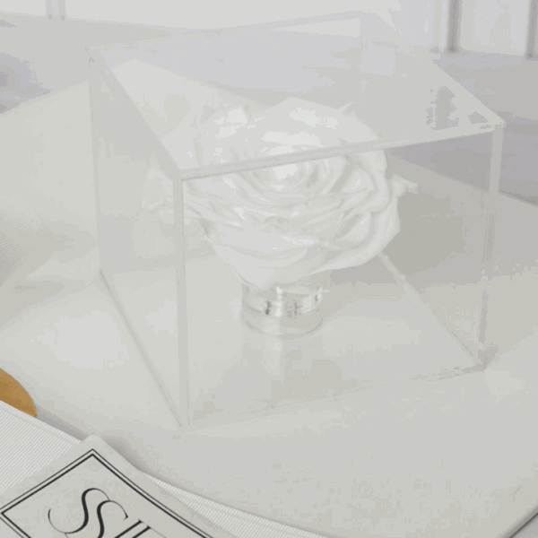 ROSAS BLANCAS PRESERVADAS EN CAJA DE ACRÍLICO 2