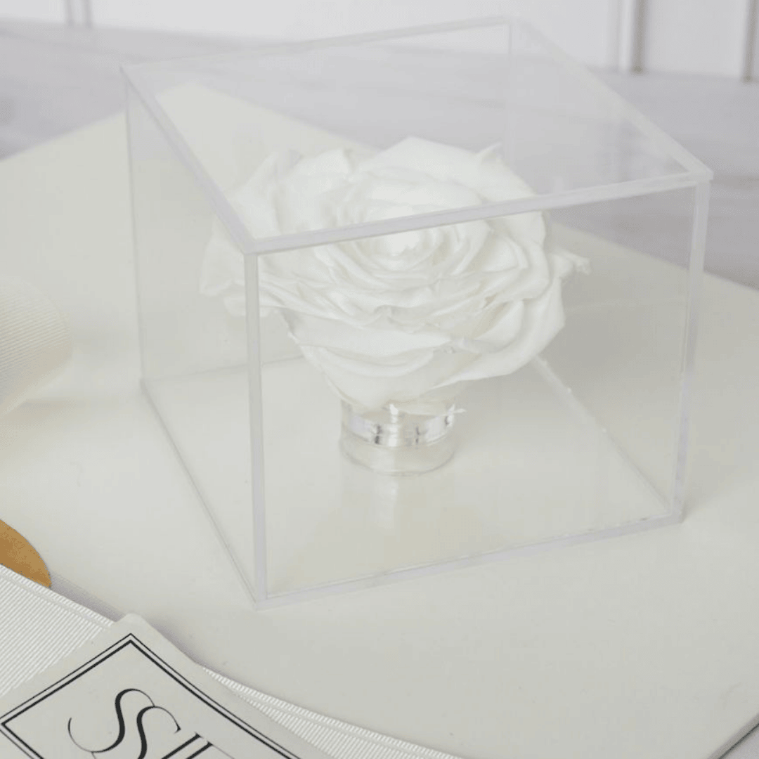 ROSAS BLANCAS PRESERVADAS EN CAJA DE ACRÍLICO 2