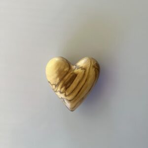 corazón de tierra santa