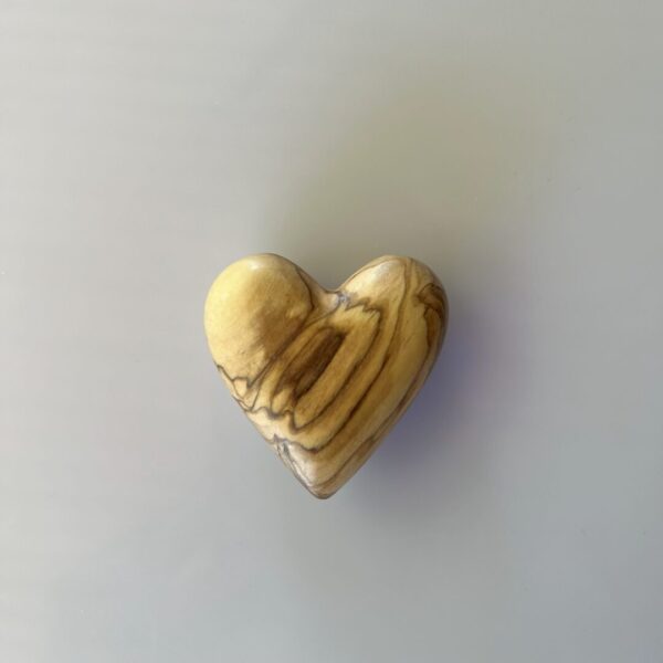 corazón de tierra santa