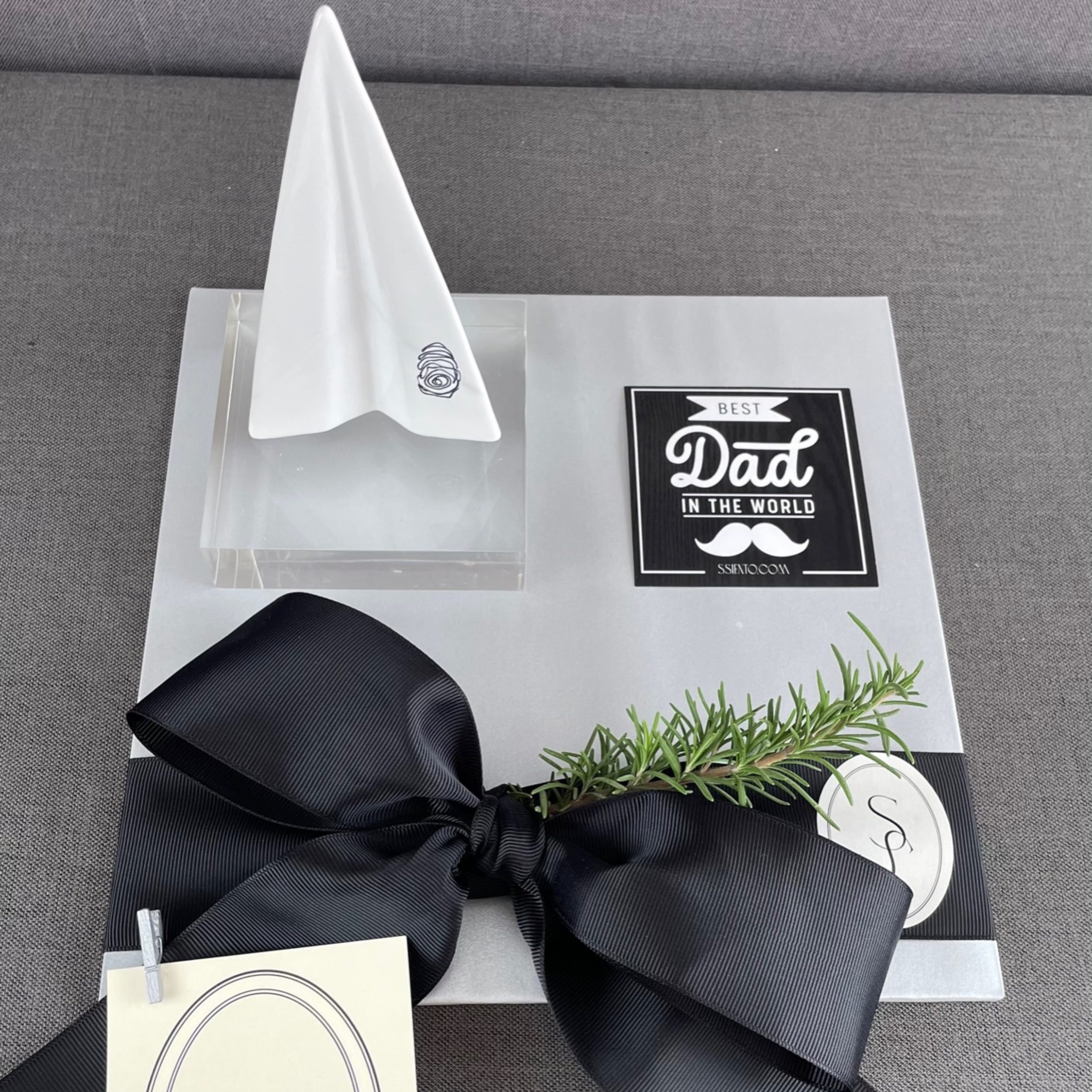 AVIÓN ÁLVARO CUEVAS DÍA DEL PADRE - Imagen 2