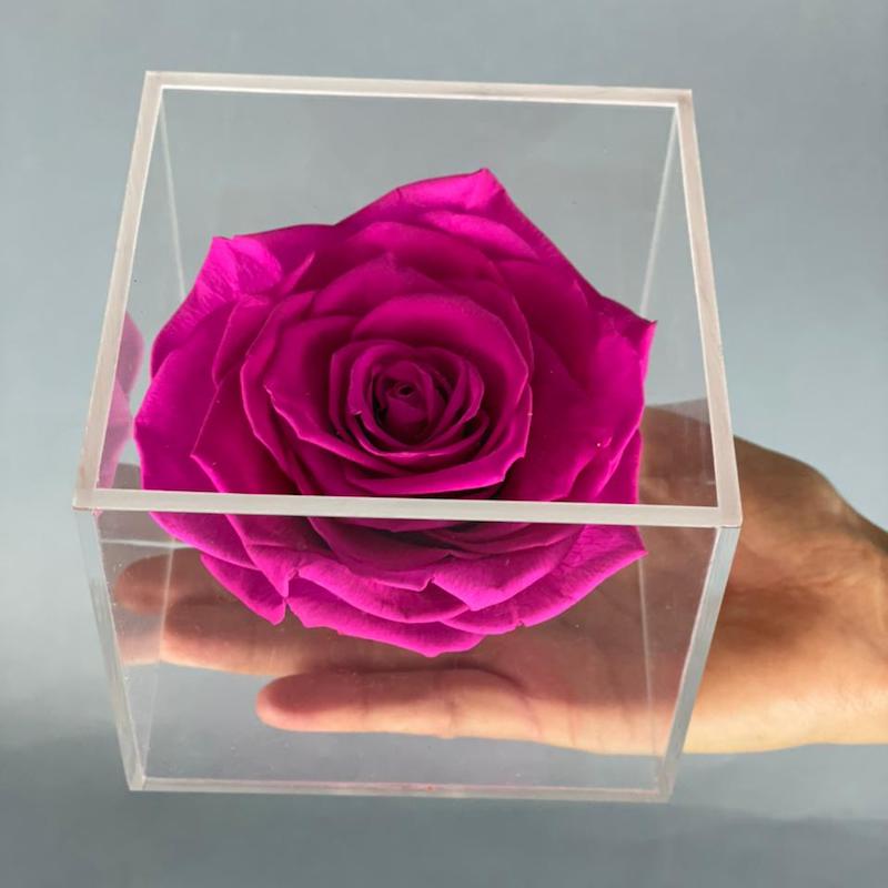 ROSA FUCSIA PRESERVADA EN CAJA DE ACRÍLICO