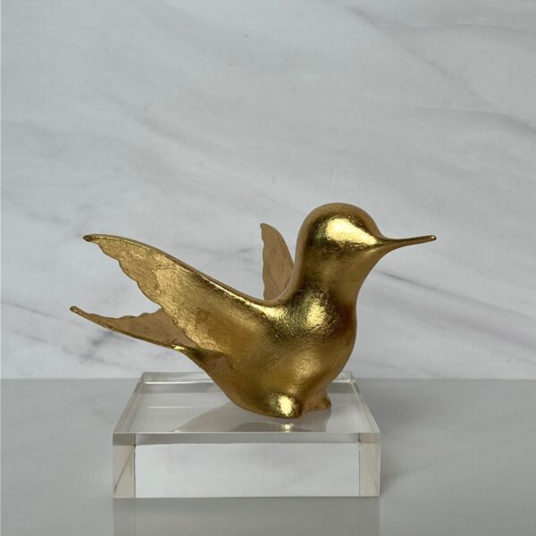 COLIBRÍ DE DAVIT NAVA