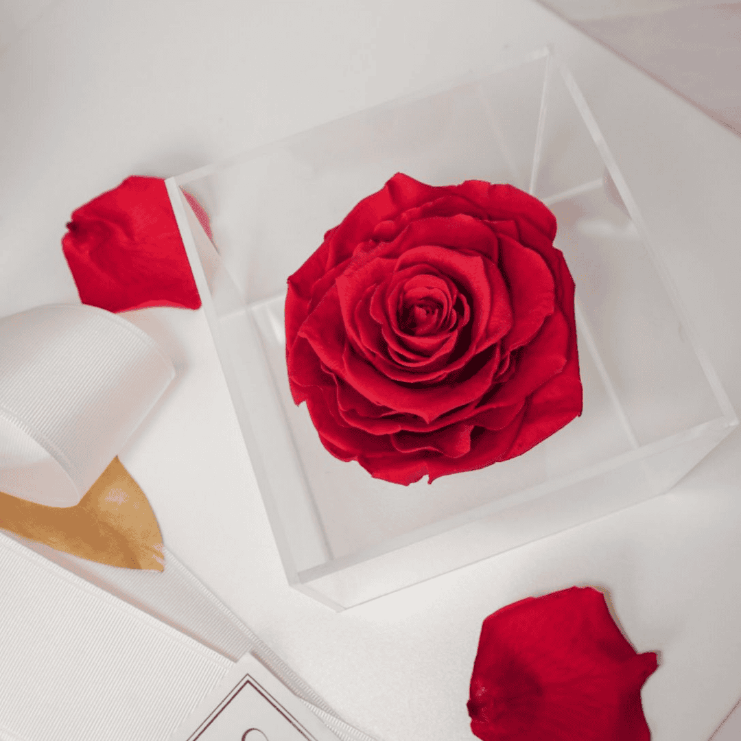 ROSAS ROJAS PRESERVADAS