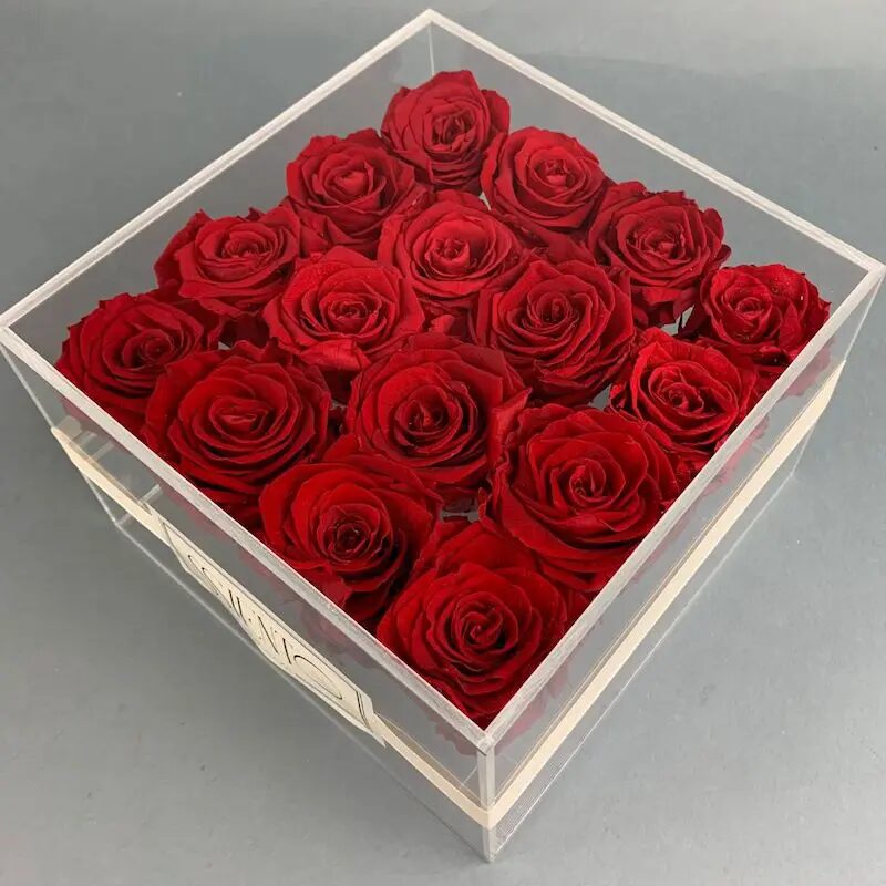 ROSAS ROJAS PRESERVADAS 16 ROSAS