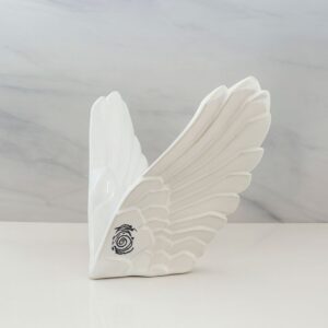 ALAS-ABRAZOS DEL CIELO