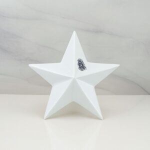 ESTRELLA-ABRAZOS DEL CIELO